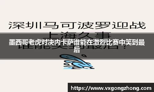 星空xingkong