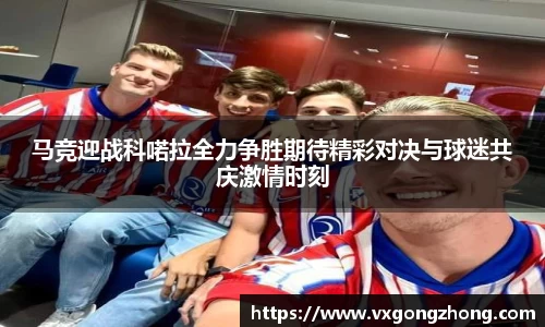 星空xingkong官网