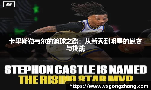 星空官方网站-星空xingkong（中国）