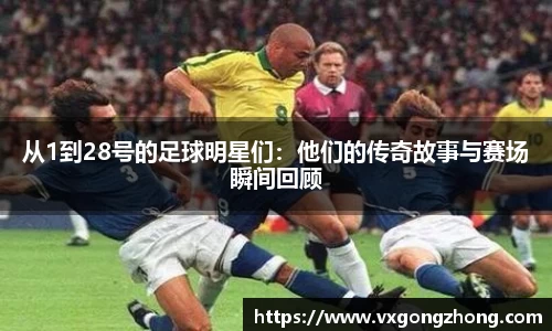 星空xingkong官网